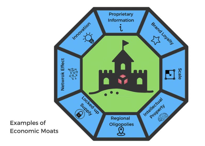 Discover examples of economic moats on mlt.capital through this illustrative image, highlighting key concepts in investment.